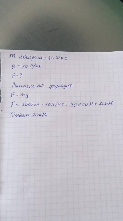 Чему равна сила тяжести действущая на носорога​