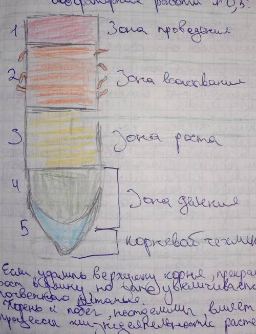 Лучшим ответом сделаю тому кто ответит (буду проверять)