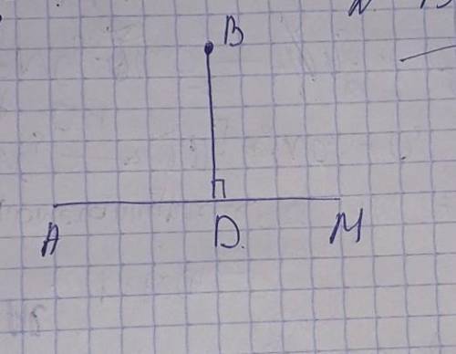 перпендикулярном проведенным из точки B к прямой AM является___ ( буквы вводите в латинской раскладк