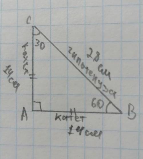 В прямоугольном треугольнике ABC, с прямым углом А, катет АС=14см, противолежащий к катету угол В ра