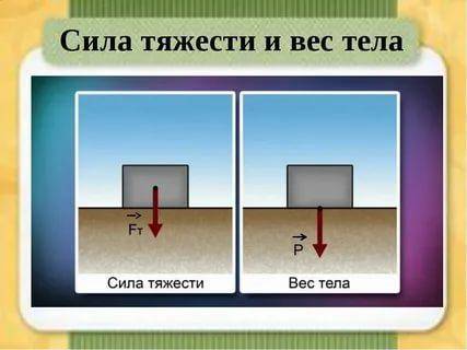 Даны два рисунка а) покажите направление приложенной силы тяжести и веса тела.[2] сила тяжести вес т