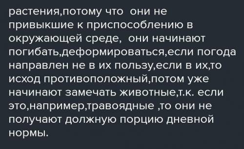 Кто первым в Тайге отреагирует на изменения в природном комплексе : растения или животные?