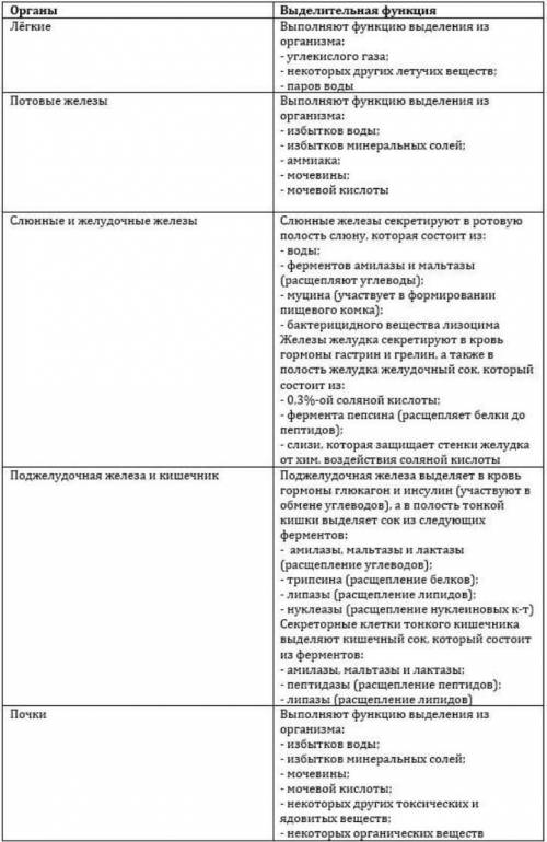 Заполните в тетради таблицу “Органы, выполняющие выделительную функ- цию.