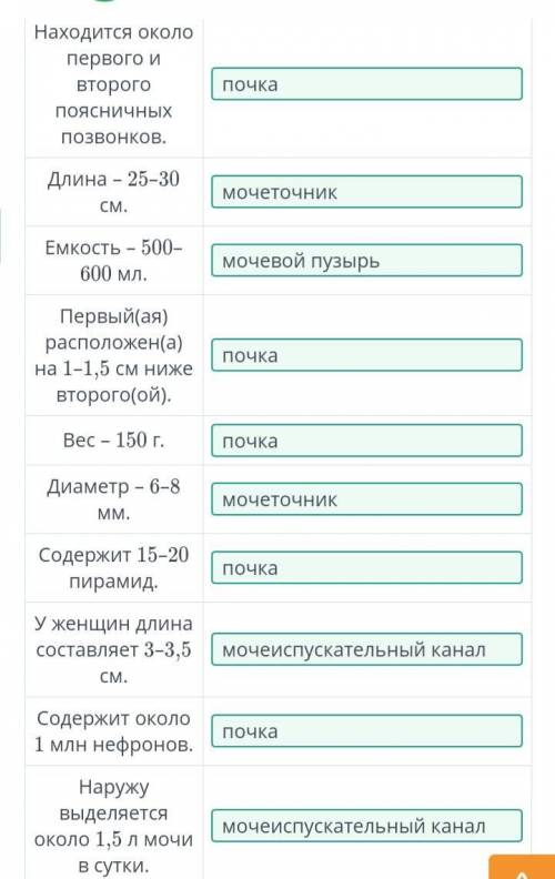 Определи по описаниям органы мочевыделительной системы. Описание Орган мочевыделительной системы Нах