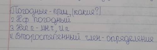 Морфологический вопрос на слово погодные ​