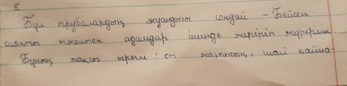 Бұл трубалардың жуандығы сондай Бейсен сияақты тәпелтек адамдар ішінде жүгіріп жүрерлік. Бұның жақсы