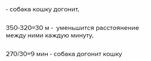 собака погналась за кошкой которая находилась от нее на расстоянии 270 метров кошка убегает от собак