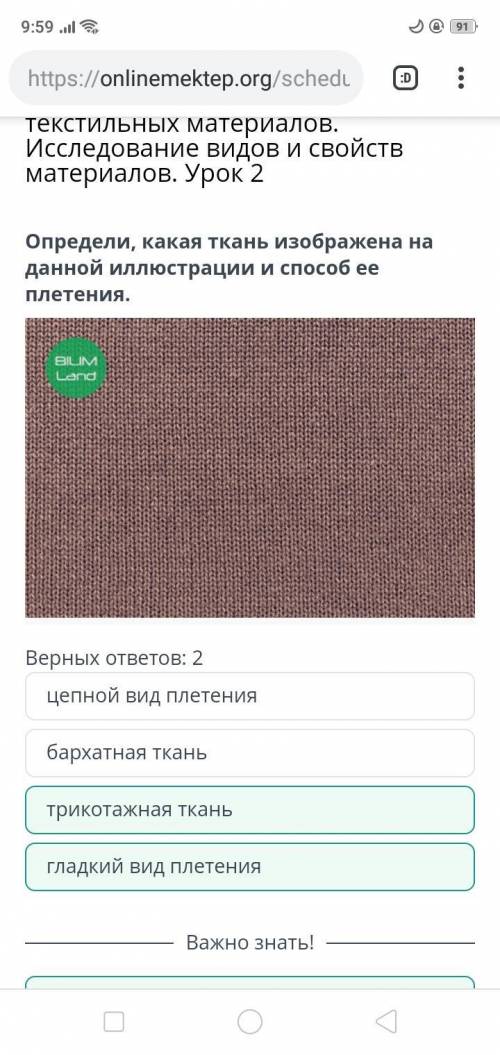 Определи Какая ткань изображена на данной иллюстрации и ее плетение ​