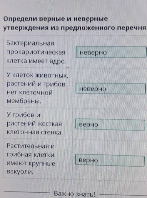 Определи верные и неверные утверждения из предложенного перечня. Бактериальная прокариотическая клет