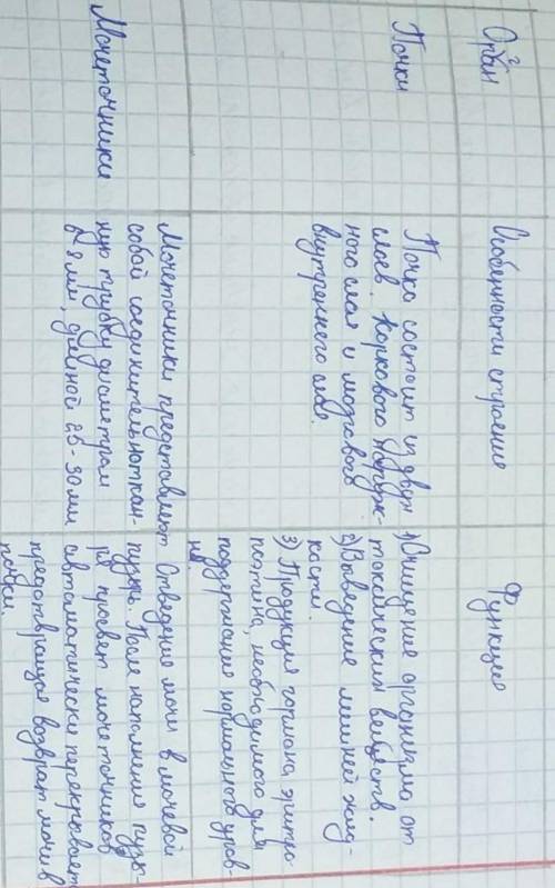 Бүйректер,несепнәр,қуық,зәр шығару түтігі осылардын құрылысының ерекшелігі және қызметін болек болек