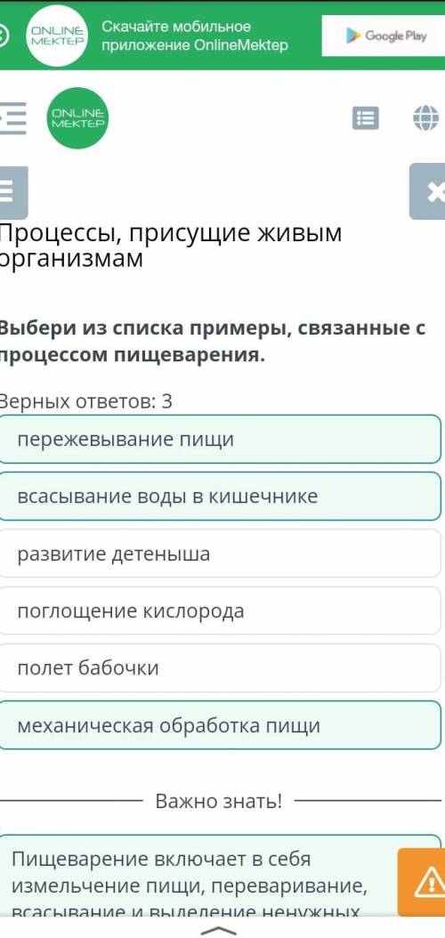 Выбери из списка примеры связанные с процессом пищеварения. развитие детеныша полет бабочки поглощ