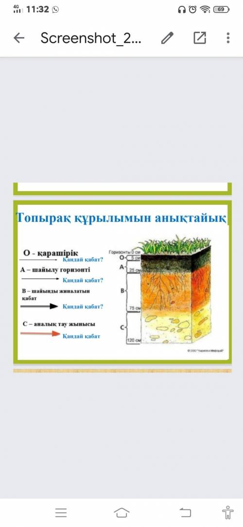 Берілген сөздерді қолдана отырып, топырақ қабаттарының кесіндісін жазыңыз (шайылу горизонті, қарашір