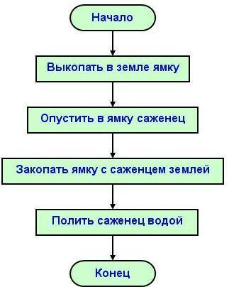 1.Приведите примеры линейных алгоритмов, которые встречаются в нашей жизни.2. Найдите ошибки в прогр