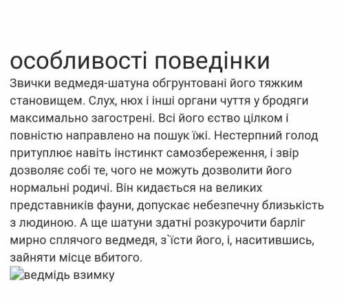 Хто такий ведмідь шатун і чому він не безпечний?​