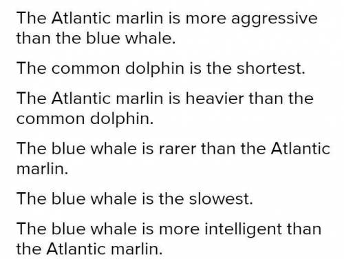 Atlantic marlin (fast) The Atlantic marlin is the fastest.1 Atlantic marlin / blue whale (aggressive