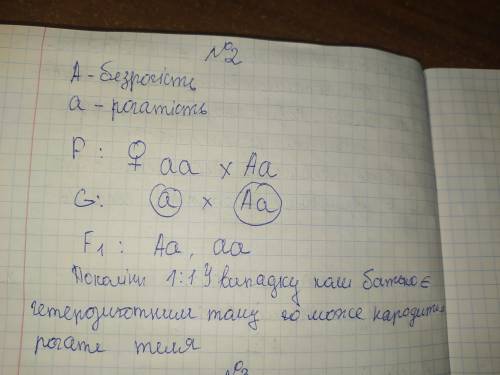 У великої рогатої худоби алель безрогості домінує над алелем рогатості. Яке потомство можна отримати