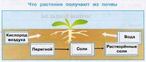 Составь модель почвы своей местности. Подпиши слои почвы.Определи вид почвы. ДАЮ 30 Б​