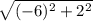 \sqrt{(-6)^2+2^2}