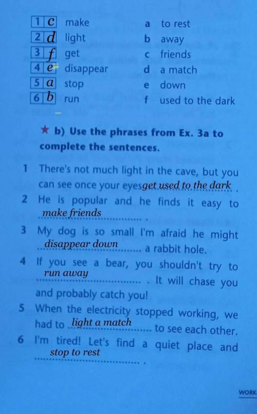 Use the phrases from ex 3a to complete the sentences ​