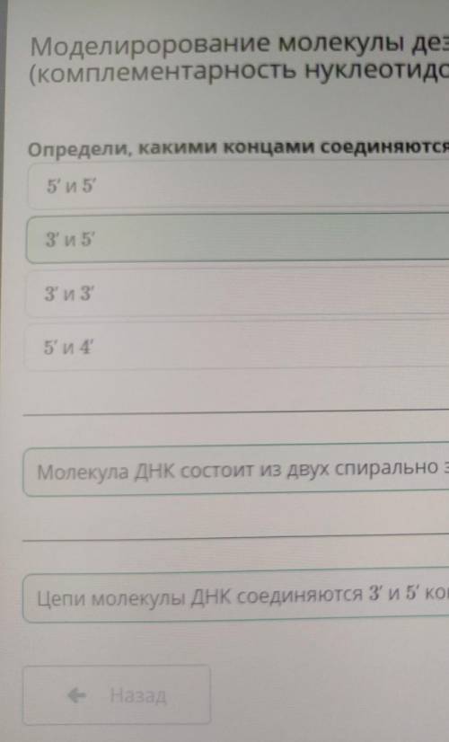 Определи, какими концами соединяются между собой 2 цепи ДНК. 5' и 5' 3' и 3' 3' и 5' 5' и 4