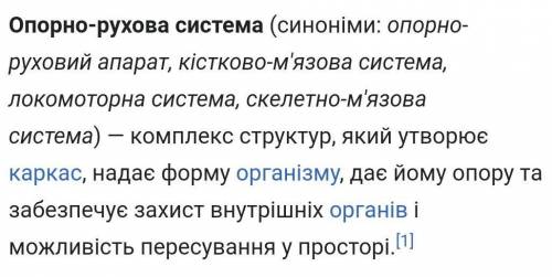 Назвіть чинники відмінностей опори людини.