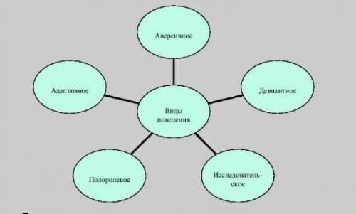 Дать характеристику формам поведения детей​