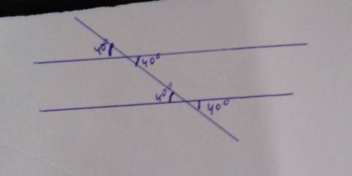Один из углов, полученных при пересечении двух параллельных прямых секукущей, равен 40°. Может ли од
