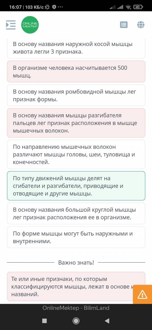 Определи, какие утверждения о видах мышечной ткани являются верными, а какие – неверными. Сердечная