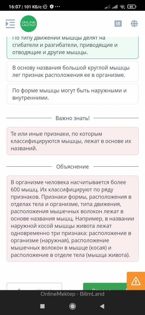 Определи, какие утверждения о видах мышечной ткани являются верными, а какие – неверными. Сердечная