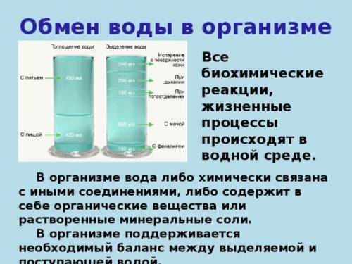 Схема обмена водыпо типу фото можете взять фотографию из интернета​