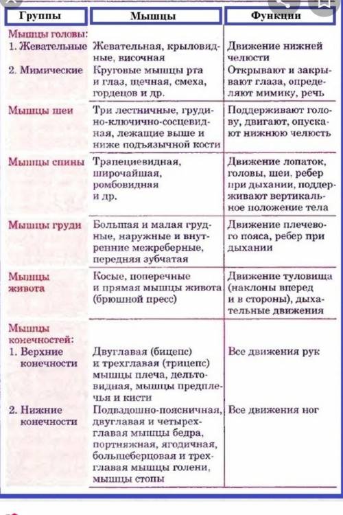 Задание 2.Рассмотрите рисунокЗаполните таблицу.НазваниеФункция​