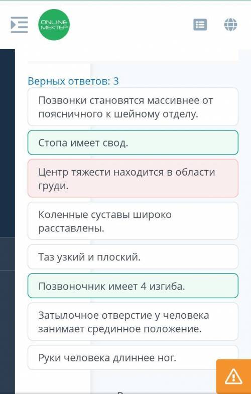 Биомеханические особенности движения человека в связи с прямохождением Выбери верные утверждения об