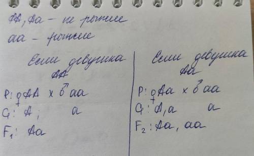 мужчина с рыжими волосами оба родителя которого не имели рыжих волос, женился на девушке с не рыжими