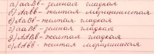 У гороха жёлтая окраска семян А доминирует над зелёной, а гладкая форма семян В над морщинистой b. О