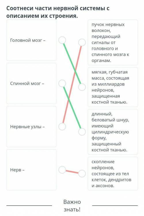 Соотнеси части нервной системы с описанием их строения. пучок нервных волокон, передающийГоловной мо