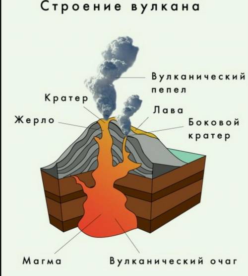 Что указано цифрами 2,3,4 и 6 на рисунке?​