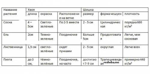 Сравнительная характеристика побегов хвои и шишек хвойных растений