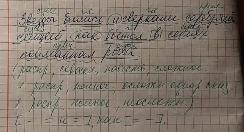 Синтактический разбор Звёзды бились и сверкали серебряной чешуёй, как бьётся в сетях пойманная рыба