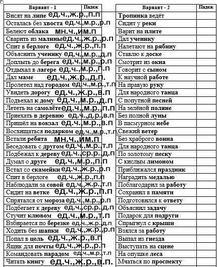 Рус яз Задание от меня на повторение:выбери один вариант,Вставь прилагательное ксуществительному, СП