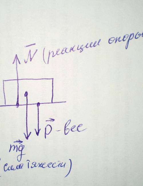 Банка массой 2 кг стоит на столе. На рисунке показать силуреакцию опоры, силу веса и силу тяжести