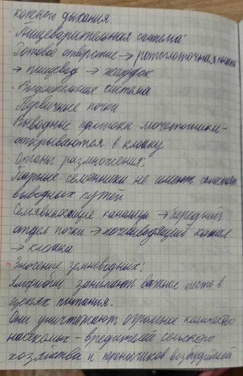 Краткое сообщение о земноводном