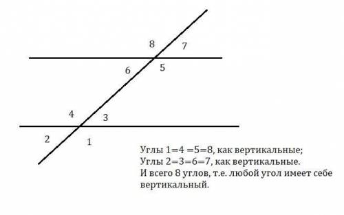 Сколько Вертикальных углов образуются при пересичении двух прямых?