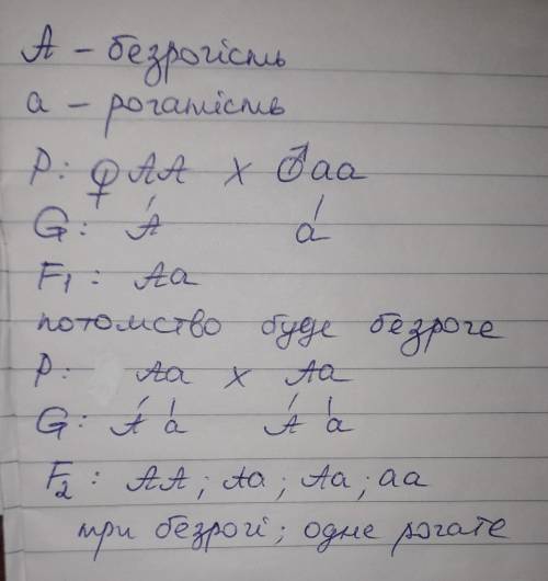 Ген безрогості домінує над геном рогатості. а)яке потомство буде F1 від схрещування рогатого бугая з