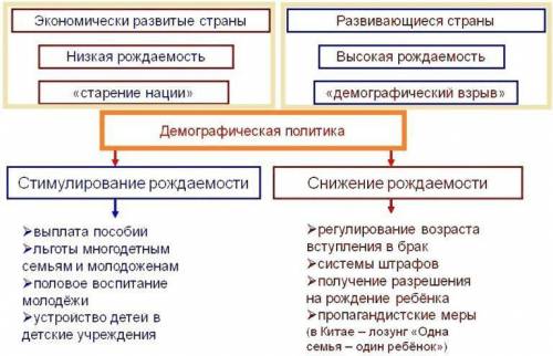 Разрабатайте свою модель демографической политики. Критерий модели может включить такие пункты: Выбе