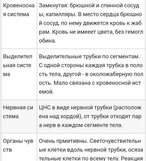 Нужно заполнить таблицу(прикрепил), Внешнее и внутреннее строение Ланцетника