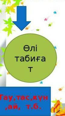 Табиғат нешеге бөлінеді? ​