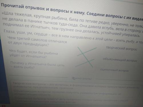 Прочитай отрывок и вопросы к нему. Соедини вопросы с их видами. «Шла тяжелая, крупная рыбина, била п