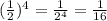 (\frac{1}{2} )^4=\frac{1}{2^4} =\frac{1}{16}