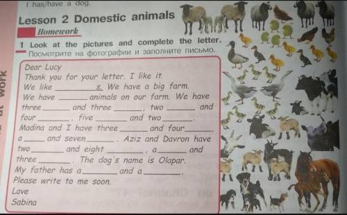 Lesson 2 Domestic animals. 5th class Dear LucyThank you for your letter. I like it.We like s. We hav