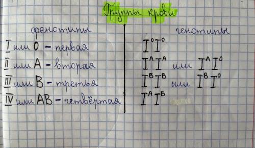 Гетерозиготна жінка, що має ІІ групу крові, одружилася з чоловіком, що має ІV групу крові. Визначте